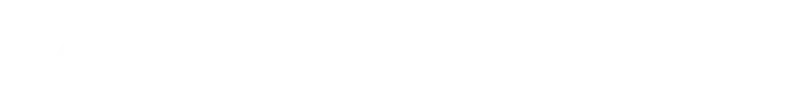 Immerion